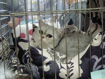 20121021_125 (Expo)